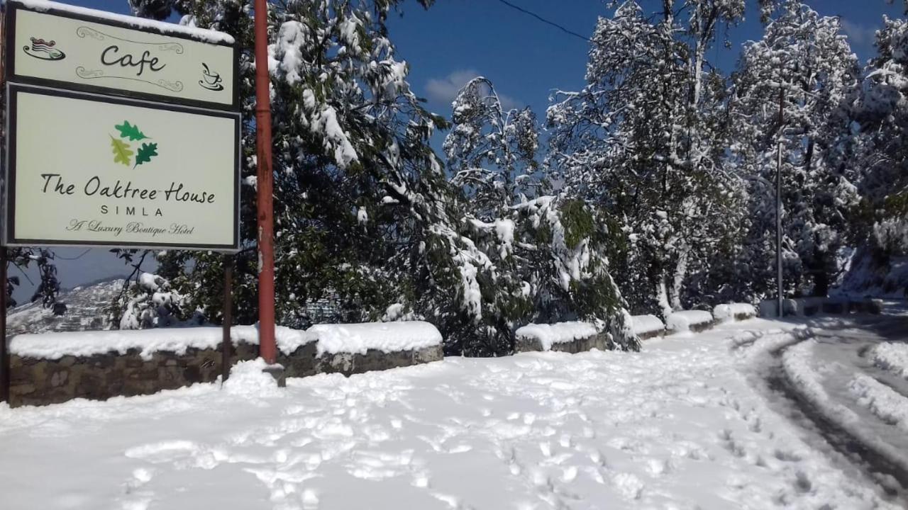 The Oaktree House Otel Shimla Dış mekan fotoğraf