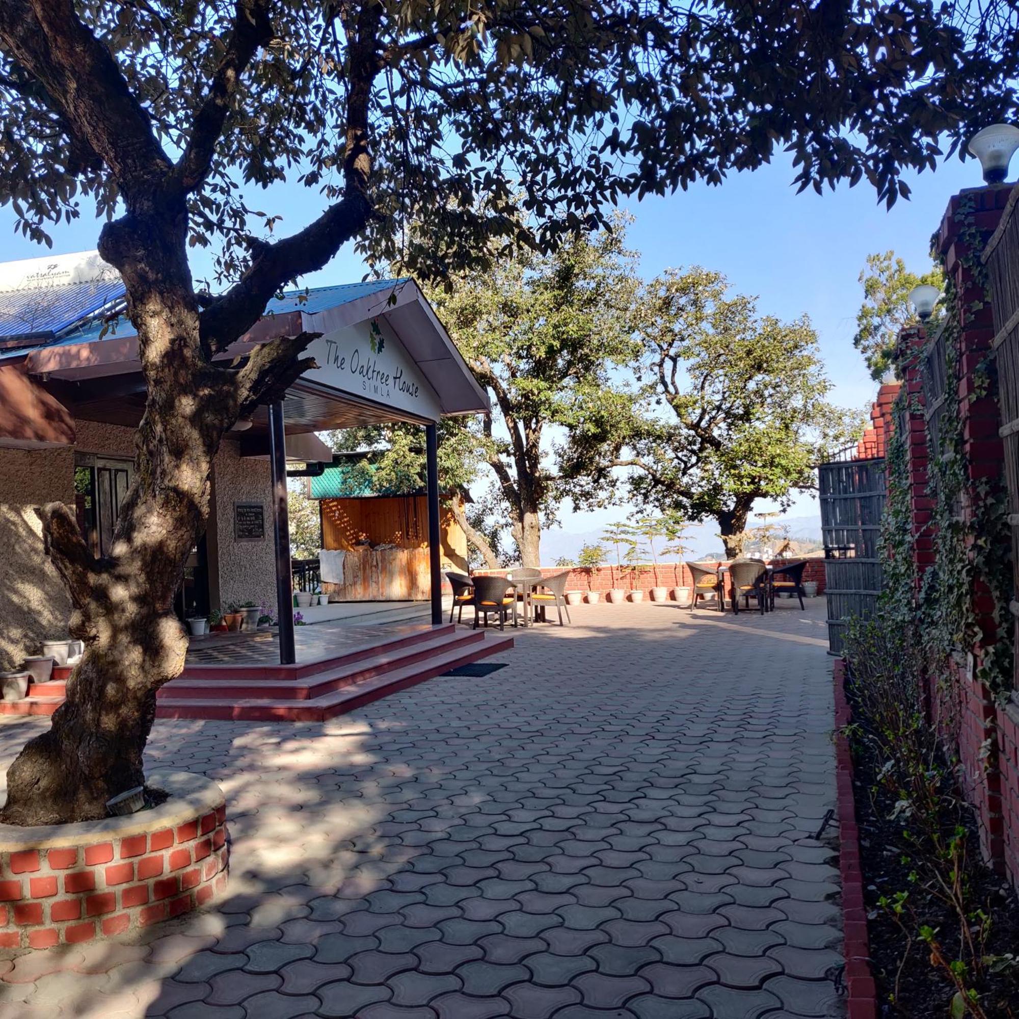 The Oaktree House Otel Shimla Dış mekan fotoğraf